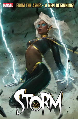 STORM #1 (2024) JEEHYUNG LEE VARIANT