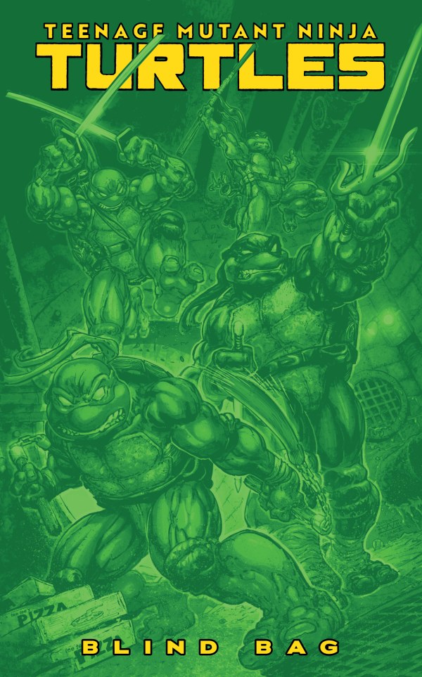 Teenage Mutant Ninja Turtles #13 (2025) Variant F (Blind Bag)