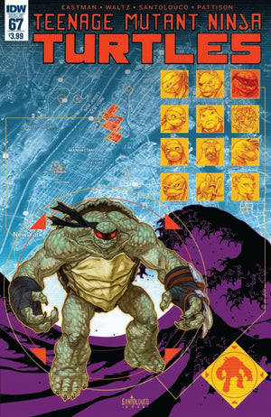 Teenage Mutant Ninja Turtles #67 Main Cover  (IDW Series)