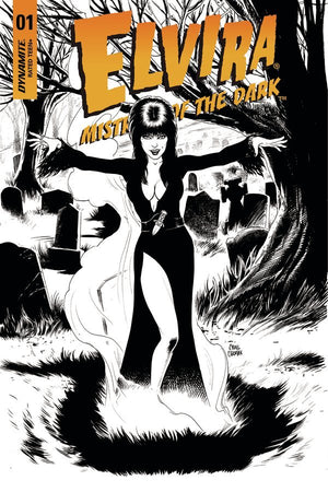 Elvira: Mistress of the Dark #1 (1:10 Retailer Incentive Cover) 2018 Dynamite Series