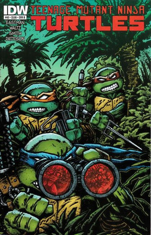 Teenage Mutant Ninja Turtles #43 Cover B (IDW Series)