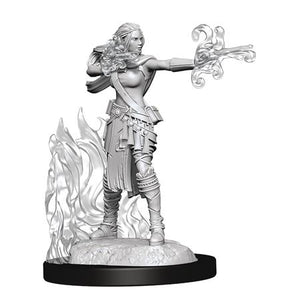 D&D NOLZARS MINIS MULTICLASS WARLOCK SORCERER FEMALE (C: 0-1