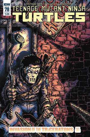 Teenage Mutant Ninja Turtles #78 Cover B  (IDW Series)