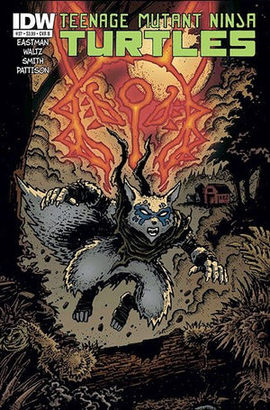 Teenage Mutant Ninja Turtles #37 Cover B (IDW Series)