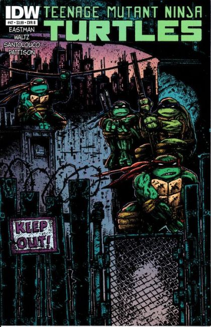 Teenage Mutant Ninja Turtles #47 Cover B (IDW Series)