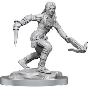 Dungeons & Dragons Nolzur’s Marvelous Miniatures: Half-Elf Rogue Female