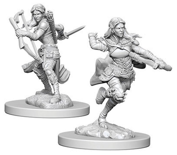 Dungeons & Dragons Nolzur`s Marvelous Unpainted Miniatures: W04 Air Genasi Female Rogue