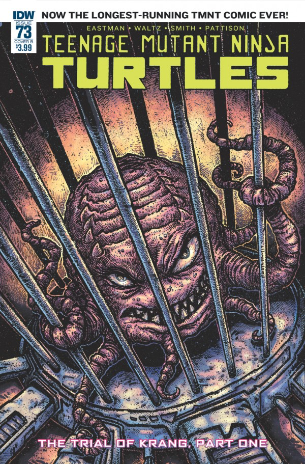 Teenage Mutant Ninja Turtles #73 Cover B  (IDW Series)