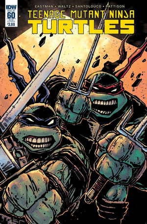 Teenage Mutant Ninja Turtles #60 Sub Cover (IDW Series)