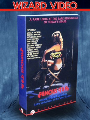 Famous T & A : Wizard VHS Big Box (Reissue Sealed)