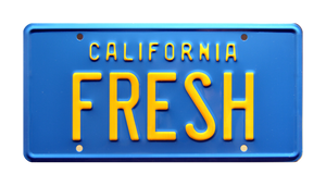 The Fresh Prince of Bel Air Taxi "FRESH" Metal Stamped Replica Prop License Plate