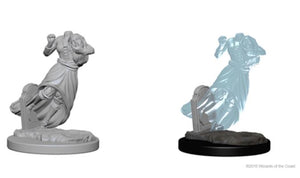 Dungeons & Dragons Nolzur`s Marvelous Unpainted Miniatures: W01 Ghosts