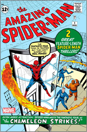 Amazing Spider-Man #1 Facsimile Edition Stan Lee Steve Ditko