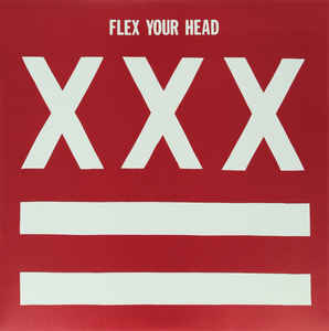 FLEX YOUR HEAD : V/A Straight Edge Comp LP Record