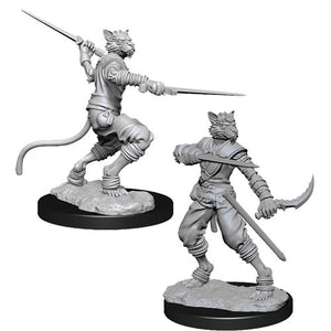 Dungeons & Dragons Nolzur’s Marvelous Miniatures: Tabaxi Rogue (Male)
