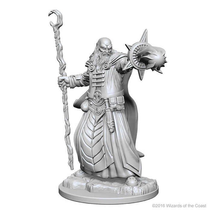 Dungeons & Dragons Nolzur`s Marvelous Unpainted Miniatures: W01 Human Male Wizard