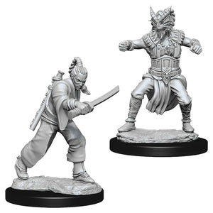 Nolzur's Marvelous Unpainted Minis: Male Human Monk