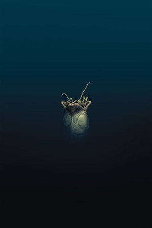 WILLIAM GIBSON ALIEN 3 #1 CVR A CHRISTMAS