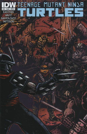 Teenage Mutant Ninja Turtles #28 Cover B  (IDW Series) Eastman