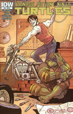 Teenage Mutant Ninja Turtles #30 Cover RI (IDW Series)