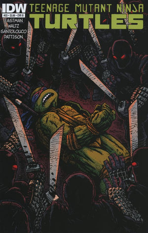 Teenage Mutant Ninja Turtles #23 Cover B (IDW Series) Eastman