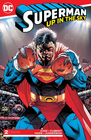 SUPERMAN UP IN THE SKY #2 (OF 6)