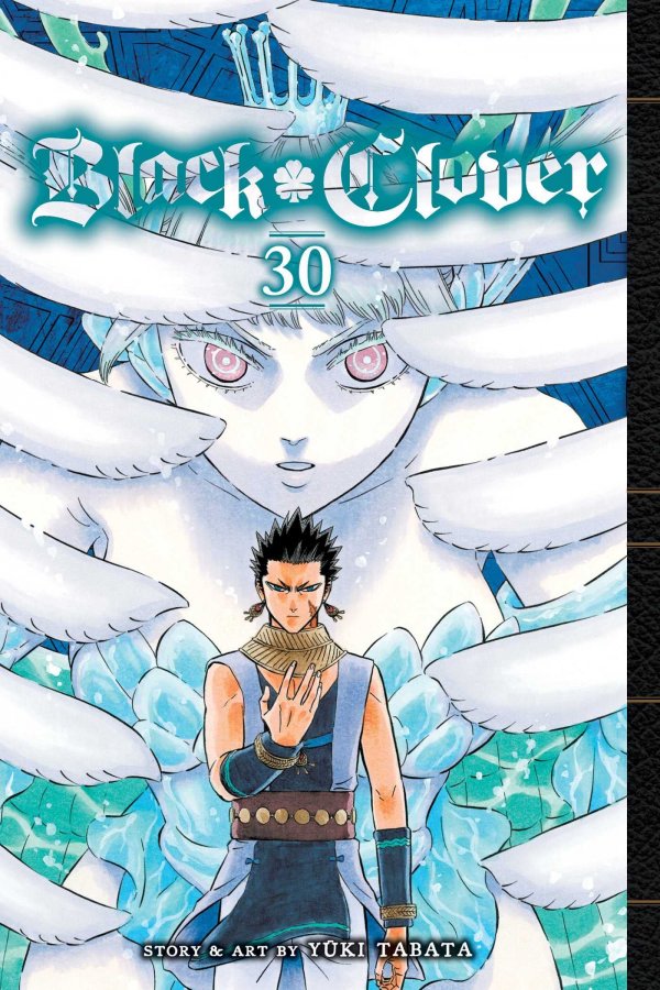 BLACK CLOVER VOL 30 GN TP