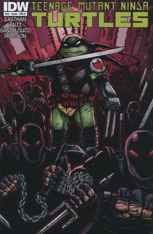 Teenage Mutant Ninja Turtles #25 Cover B (IDW Series)