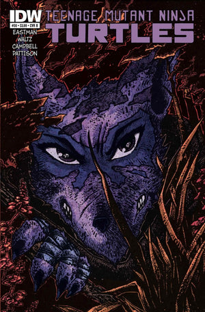 Teenage Mutant Ninja Turtles #30 Cover B (IDW Series) Eastman