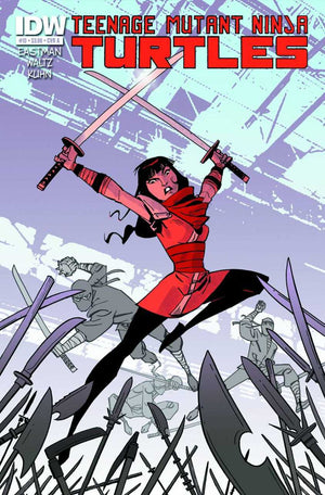 Teenage Mutant Ninja Turtles #13 Cover A (IDW Series)