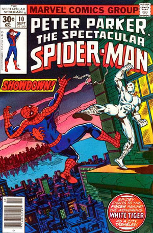 Peter Parker The Spectacular Spider-Man #010