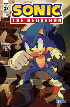 SONIC THE HEDGEHOG #43 CVR A ROTHLISBERGER (C: 1-0-0)