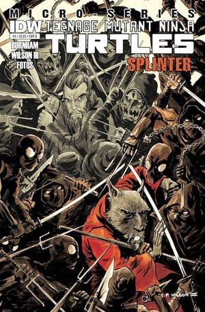 Teenage Mutant Ninja Turtles Micro-Series #5 Splinter Cover B IDW