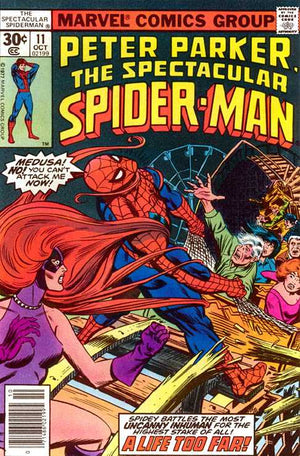 Peter Parker The Spectacular Spider-Man #011