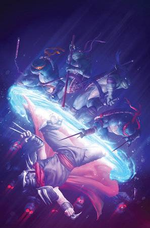 Teenage Mutant Ninja Turtles: Splintered Fate Cover D (1:25) Rahzzah Full Art