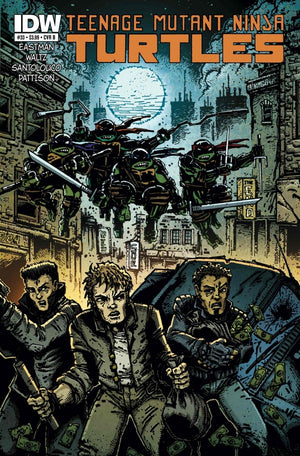 Teenage Mutant Ninja Turtles #33 B Cover  (IDW Series)