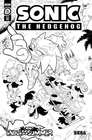 IDW Endless Summer--Sonic the Hedgehog Variant RI (10) (Coloring Book Variant)