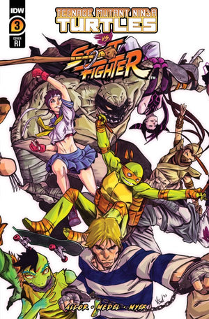 TMNT VS STREET FIGHTER #3 (OF 5) CVR D 25 COPY INCV FEDERICI