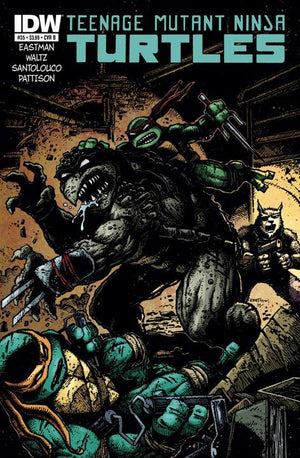 Teenage Mutant Ninja Turtles #36 Cover B (IDW Series) Eastman