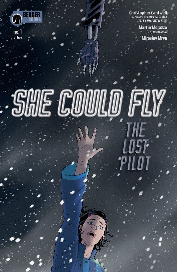 SHE COULD FLY LOST PILOT #1 (OF 5) (MR)